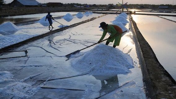  Anggota DPR Minta Pemerintah Sering-sering Temui Petani Garam, Jangan Impor