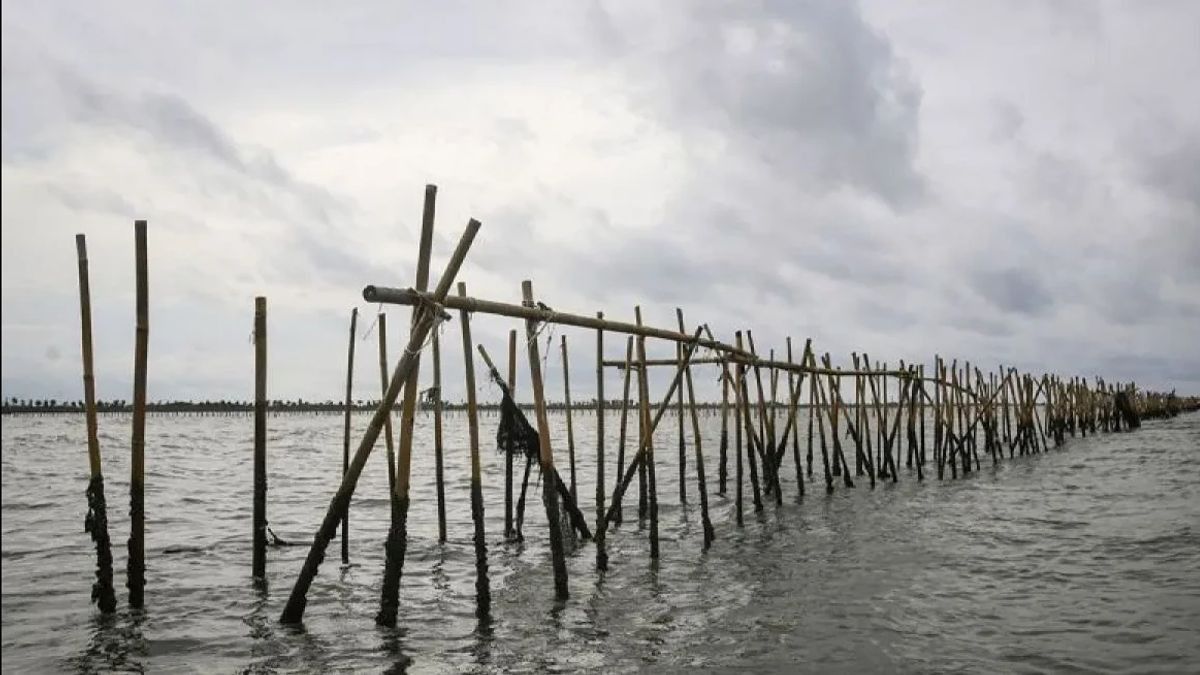Kortas Tipikor Polri Mulai Usut Dugaan Rasuah Pagar Laut Tangerang