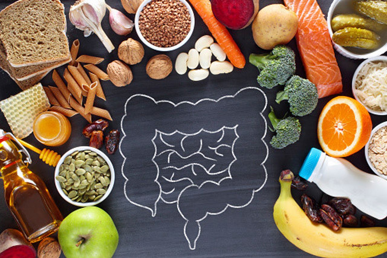 Que Sont Les Probiotiques, Les Prébiotiques Et Les Postbiotiques? Connaître Les Différences Et Les Avantages Pour La Santé
