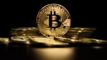 Bitcoin est confronté à une pression baissière, selon Peter Brandt