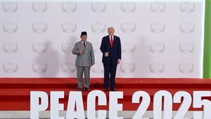 DPR Desak Prabowo Bujuk Trump: Israel Harus Hentikan Serangan ke Gaza!
