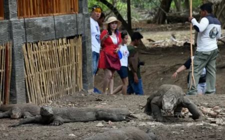 Wacana Masuk Pulau Komodo Rogoh Kocek Rp3,7 Juta, DPRD NTT Peringatkan Telah Muncul Keresahan Publik