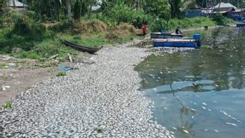マニンジャユ湖で15トンもの魚が強風のためにめまいのために死んだと言われている