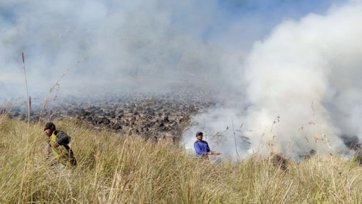Bromo Tourism Re-opens After Forest And Land Fires