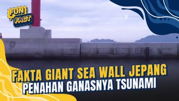 Giant Sea Wall Japan, Defense Shield From The Ferocity Of The Tsunami
