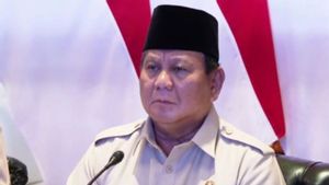 Prabowo Resmikan 218 Jembatan Dibangun 2,5 Bulan
