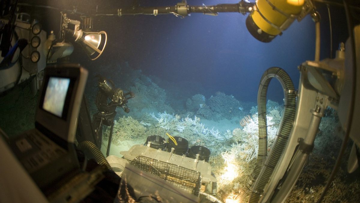 New Expedition Of Ships, 2 Robots Diving The Bottom Of The Ocean Detailed Portrait Make 3D