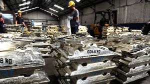 PT Timah Pastikan Harga di Tingkat Masyarakat Penambang Tetap Tinggi