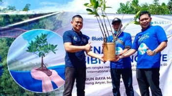 Purnomo Prawiro集团旗下的Blue Bird Taxi Company向泗水市政府移交了5，000个红树林种子