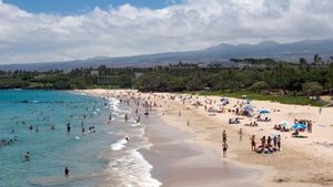 Jepang dan Hawaii Berencana Permudah Prosedur Imigrasi dan Bea Cukai dengan Pemeriksaan Pra-Keberangkatan
