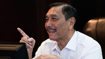 Le Président Du Conglomérat, Tanjung, A Demandé à Luhut : Pourquoi Y A-t-il Encore L’assomption De Luhut?