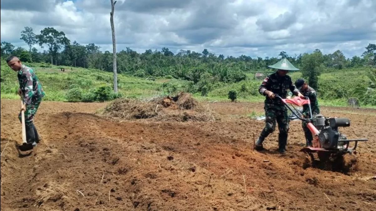 KSAU Tegaskan TNI Fokus Garap Program Ketahanan Pangan Nasional Pemerintah Prabowo