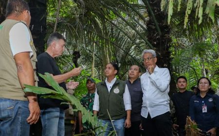 Dukung Swasembada Energi, Menhut Siapkan Kawasan Hutan untuk Bioethanol 