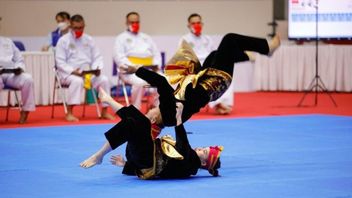 Learn The Attitudes Of The Horses In Pencak Silat, 6 Movements And Their Functions
