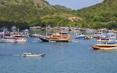 Tunjuk Maya Wanoto Jadi Direktur Marketing, Ini Strategi InJourney Kembangkan Sarinah, TMII, hingga Labuan Bajo