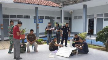 TNI AL Gagalkan Penyelundupan Benih Lobster Ilegal di Cilacap