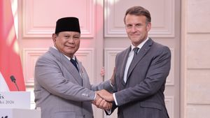 Prabowo-Macron Sepakat Perkuat Kerja Sama Pertahanan, Ekonomi, hingga Pendidikan