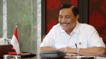 Puji Jokowi Cepat dan Berani Ambil Keputusan, Luhut: Tapi Ada ‘Negatifnya’