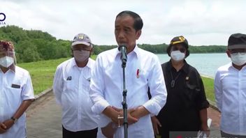 Arriving In Bali, Jokowi Makes Sure To Invite G20 Leaders To Review Mangrove Conservation Areas