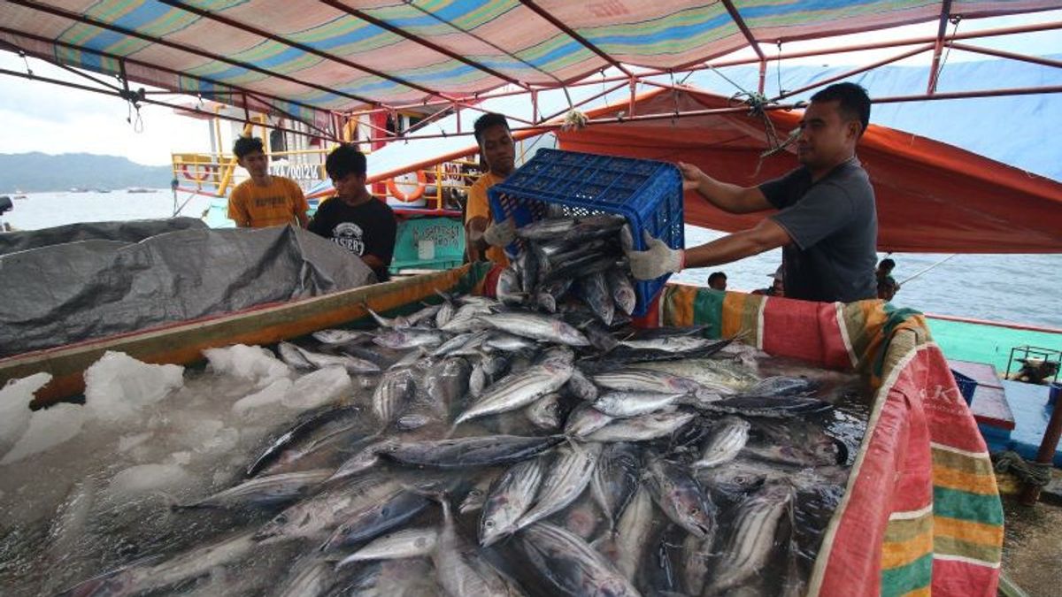 Regarding The Rules For Catching Fish Quota, Fishermen's Association Asks The Minister Of KKP To Review