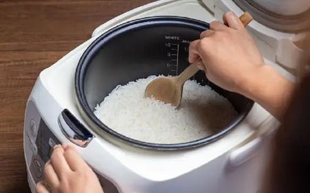 Program Bagi-bagi Rice Cooker Gratis Berlanjut, Pemerintah Siap Tebar 157.000 AML