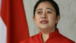 Survei Parameter Politik Indonesia: Ganjar Pranowo Kalahkan Puan Maharani, Prabowo Tetap Tertinggi