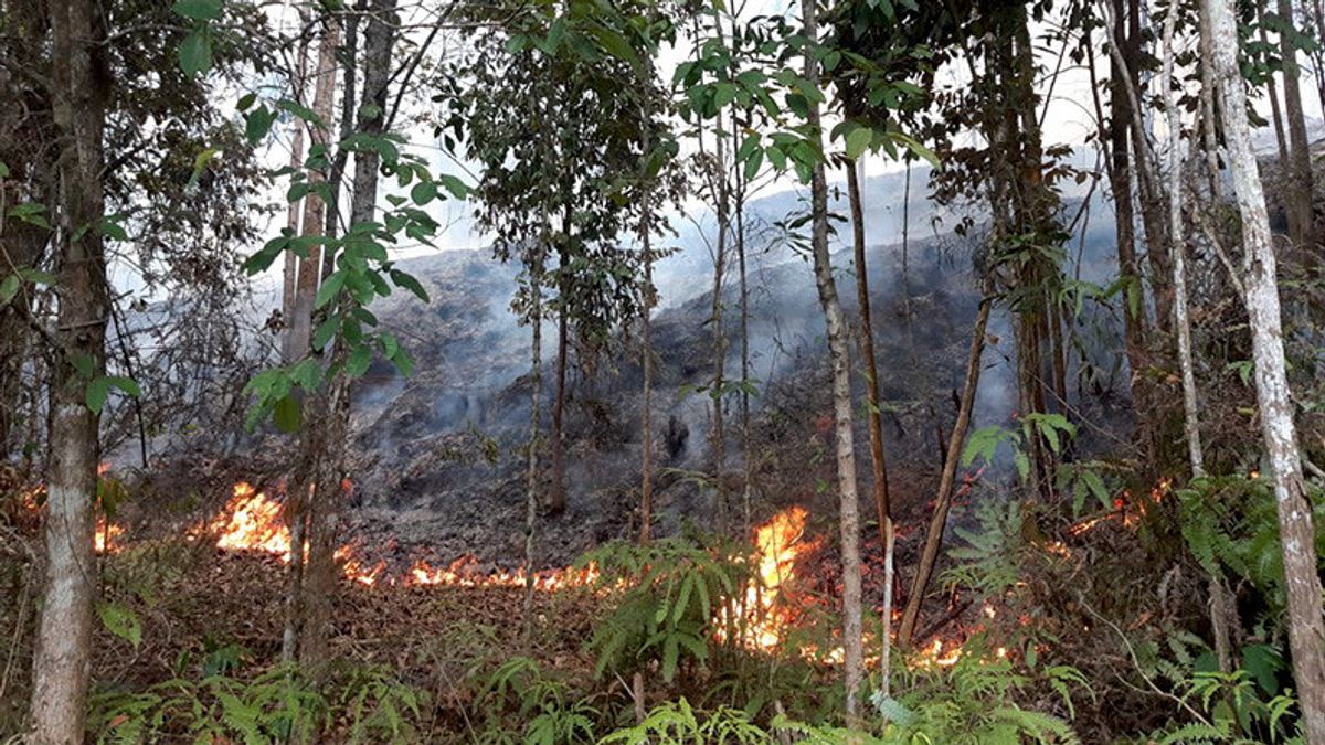 BPBD Calls Natuna Covered With Smoke Sent From Kalimantan