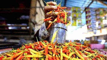 Kementan Bongkar Penyebab Harga Cabai Rawit Merah Melambung Tinggi