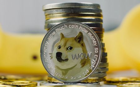 Hold 870.019 Dogecoin Selama 11 Tahun, Orang Ini Jadi Triliuner