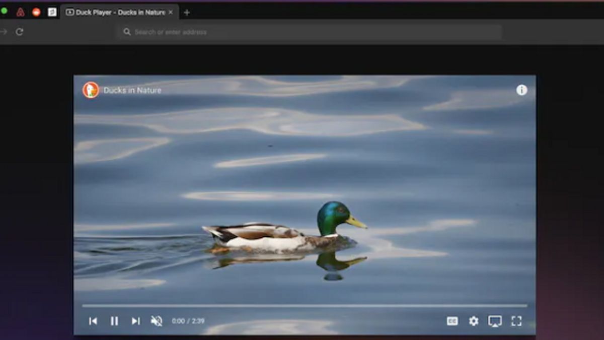 Pengguna Mac Sekarang Bisa Jajal Browser yang Diklaim Paling Aman DuckDuckGo