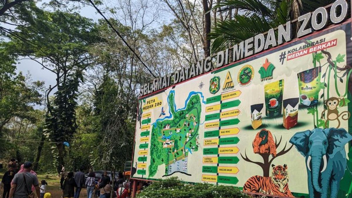 3 死老虎,棉兰市长将关闭棉兰动物园