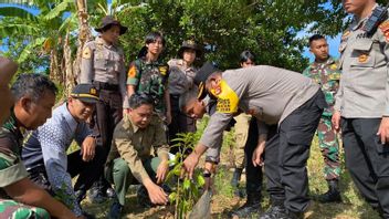 Reforestation Is Promoted At The Former Illegal Gold Mine Of Mount Prabu Lombok