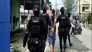 BNN Sumatra du Sud arrêté 9 pieds de mains d’un trafiquant de drogue à Palu, 1 livré une équipe chaude