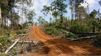 据称出售和购买Mukomuko Bengkulu的森林，KPHP向警方报告
