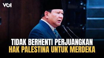 Presiden Prabowo Kembali Tegaskan, Indonesia Tidak Berhenti Perjuangkan Hak Palestina untuk Merdeka