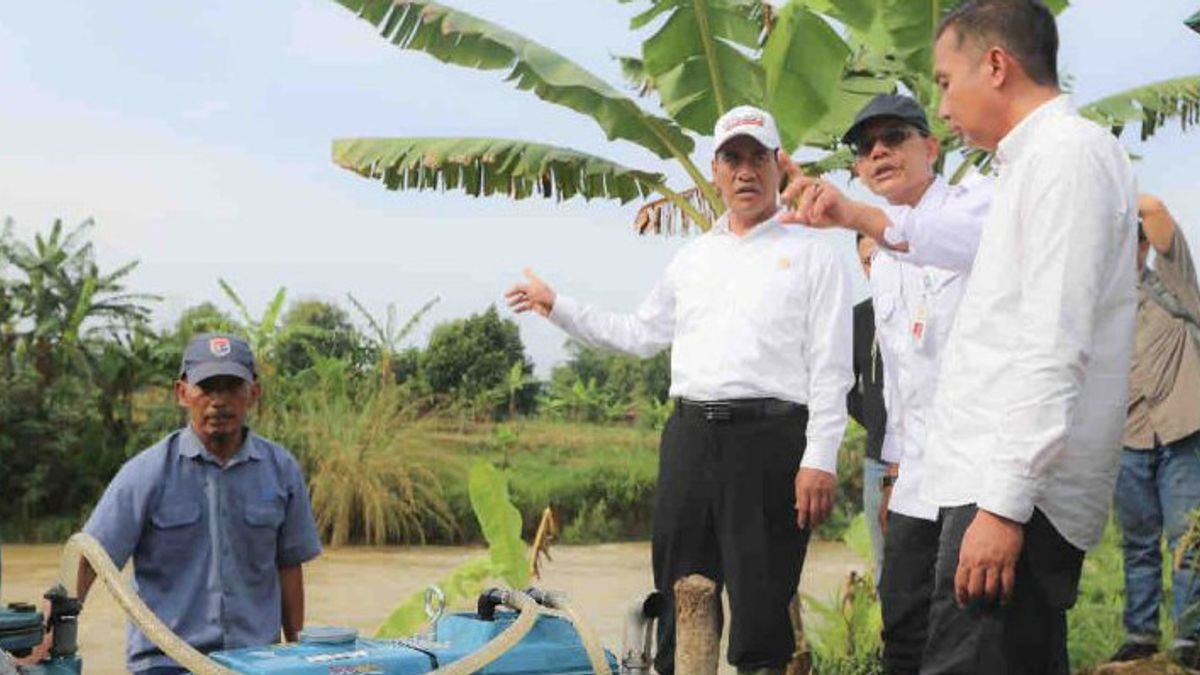 西爪哇省阿姆兰·帕库农业部长提高水稻种植生产力
