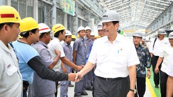 Smelter Project Uses Foreign Workers, Luhut Reveals Surprising Thing: Indonesian Human Resources Are Less Skilled