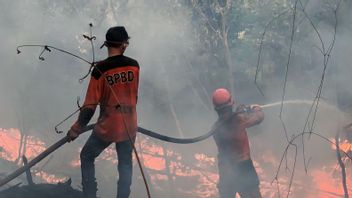 OKU南苏门答腊再次森林和陆地火灾,Si Jago Merah Lahap 20公顷
