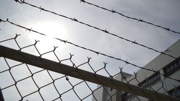 France And Australia Also Submit Requests For Repatriation Of Prisoners