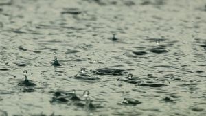  BMKG Imbau Masyarakat Waspadai Hujan Sedang hingga Lebat Disertai Angin Kencang