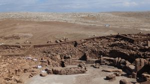 Turki Perkenalkan Karahantepe sebagai Proyek Warisan Neolitikum