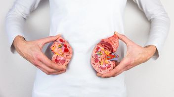 注意！这是一种食物清单，可以使肾脏更努力工作