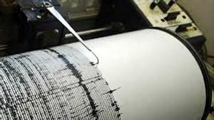 BMKG Catat Gempa Guncang Sultra 25 Kali Dalam Sepekan