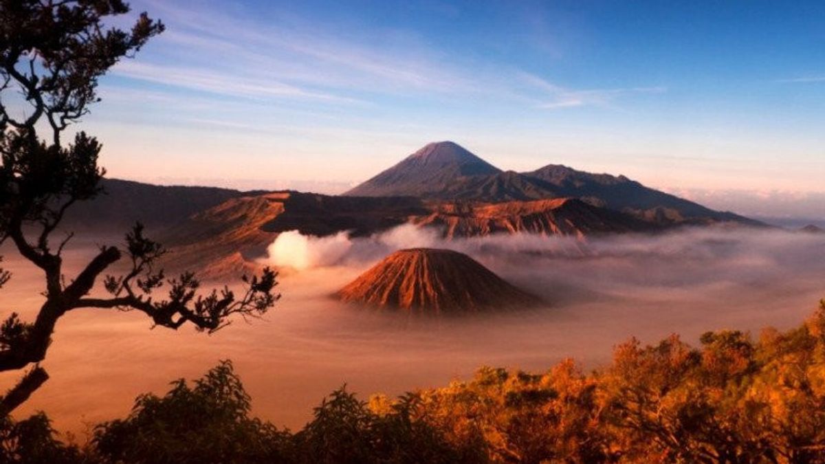 游客在先知穆罕默德的毛利假期期间访问布罗莫山达到9,061人