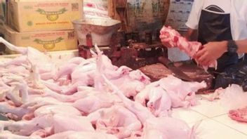 زيادة حادة، 1Kg من لحوم الدجاج في بابل السوق التقليدية شفافة Rp50 ألف
