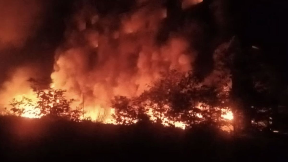 Gudang Penyimpanan Barang di Pasar Kemis Terbakar, Kerugian Capai Rp200 Miliar
