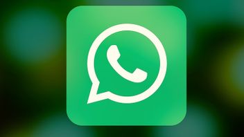 Komisioner Privasi Data Irlandia Denda Whatsapp Rp90 Miliar karena Pelanggaran Privasi Data