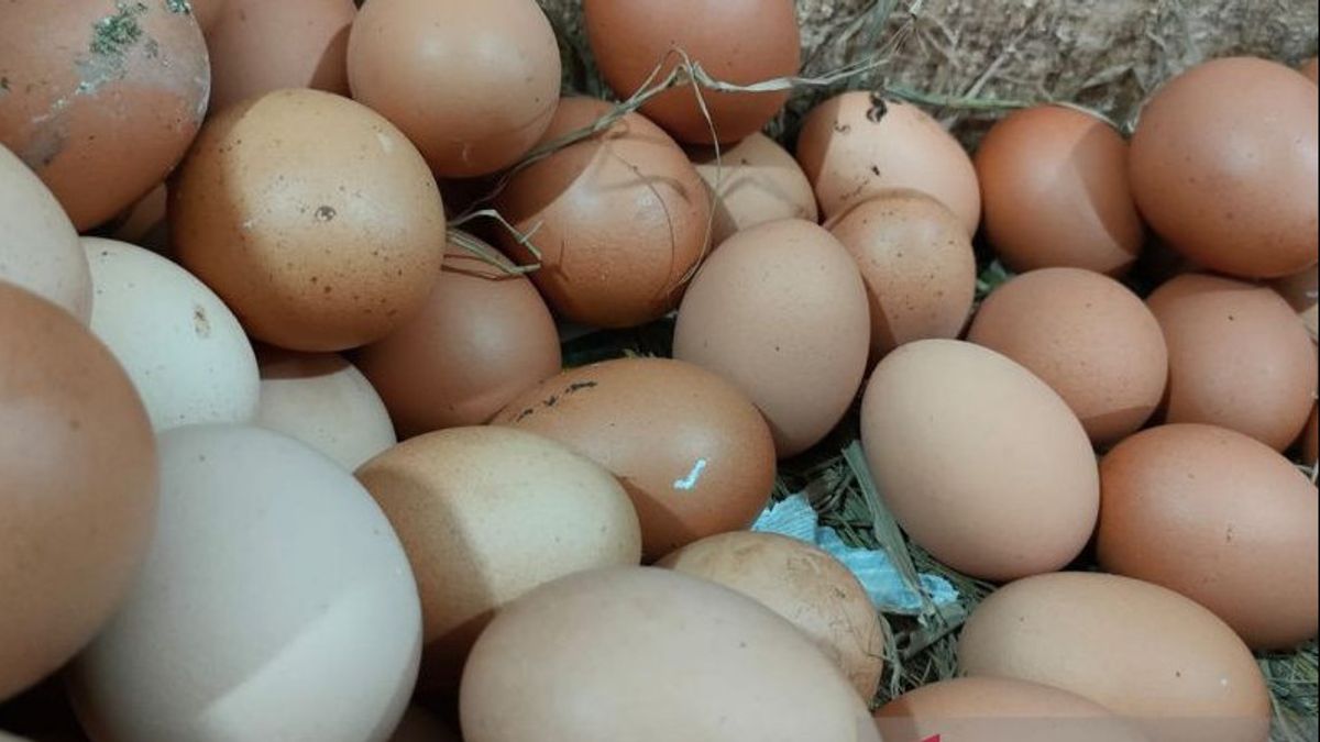 IDR 2.000下落したにもかかわらず、ソロ市政府は依然として鶏卵の価格を監視しています