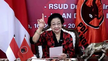 Megawati Soal KIM Plus: I Ngomong To Yourself, Love you pdip独自生活