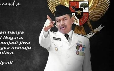 Dedi Mulyadi Ingatkan Agar Kawasan Perhutanan Sosial Tidak Beralih Jadi Perkebunan, Ini Alasannya